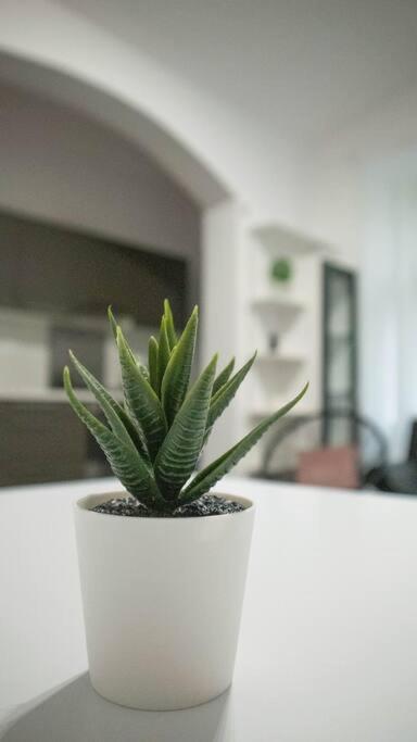 Modern Apartment In The Center Of プラハ エクステリア 写真